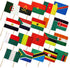 (12x18in) Set of 20 African Stick Flags - Flags Importer