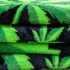 MJ Leaves Soft Plush 50x60in Blanket