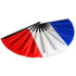 France X-Large Hand Fan