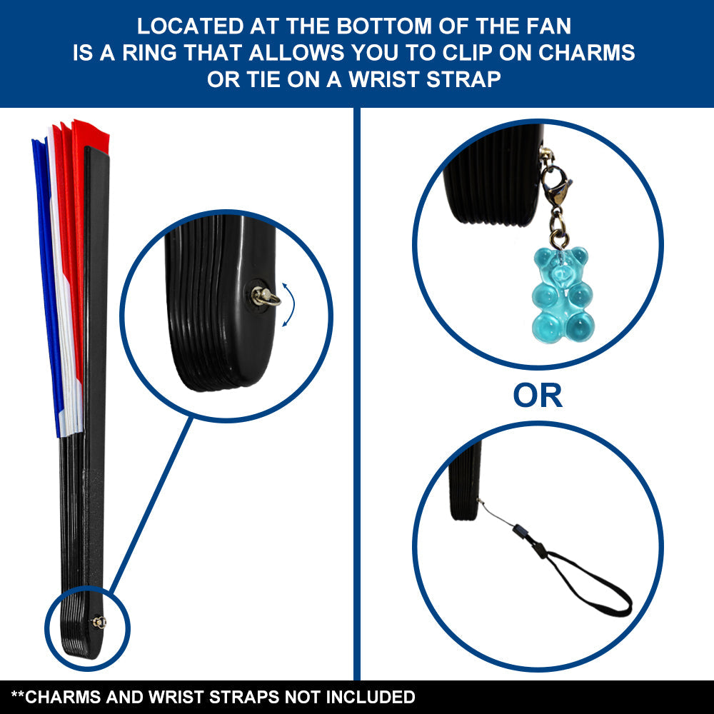 France X-Large Hand Fan