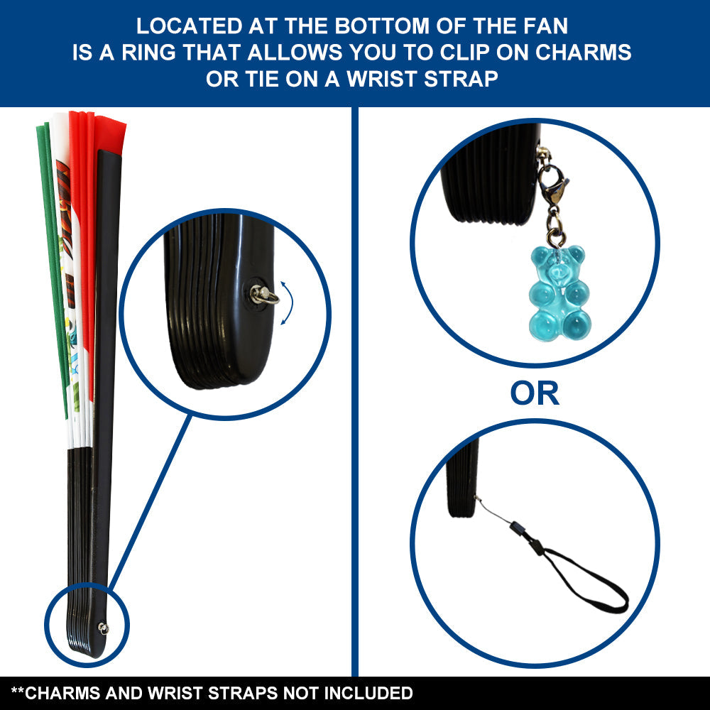 Mexico X-Large Hand Fan