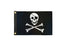 Pirate 12x18in Boat Flag
