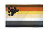 Bear Pride Flag 3x5ft Poly - Flags Importer