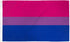 Bisexual Flag 2x3ft Poly - Flags Importer