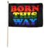 Born This Way 12x18in Stick Flag - Flags Importer