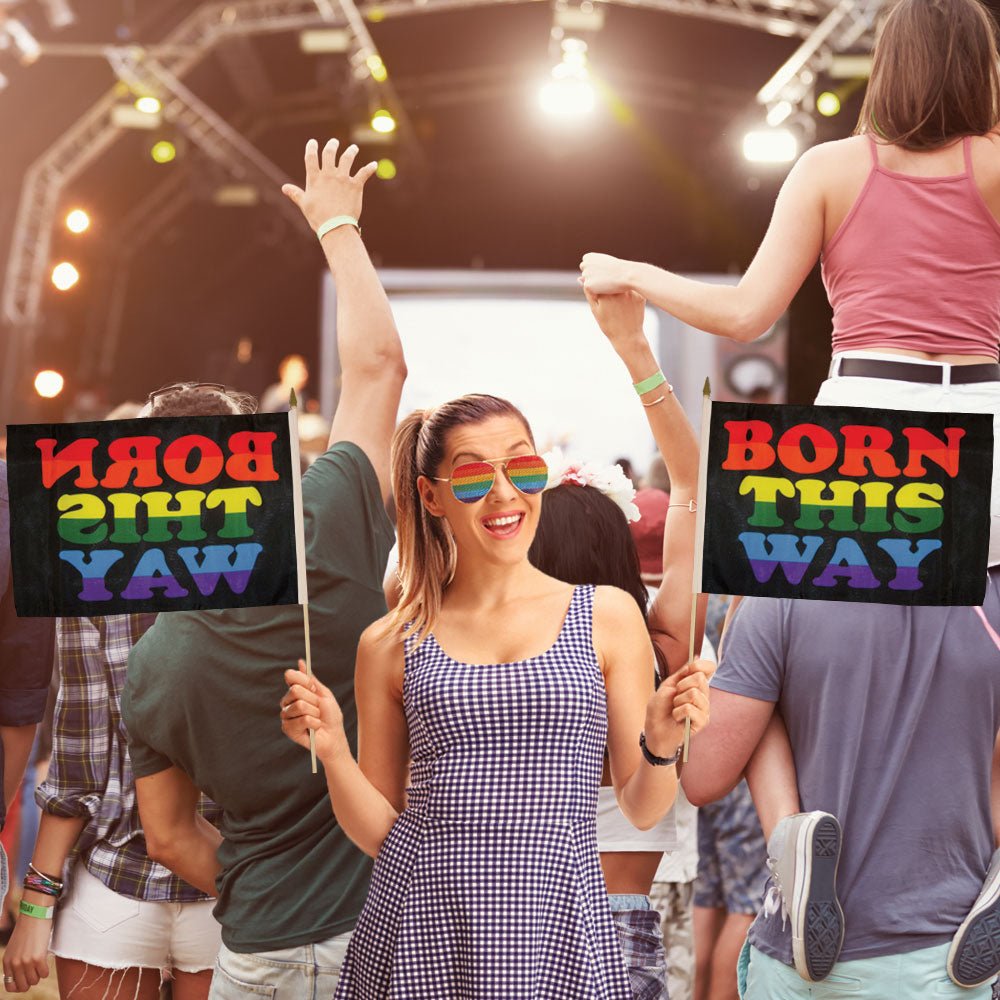 Born This Way 12x18in Stick Flag - Flags Importer