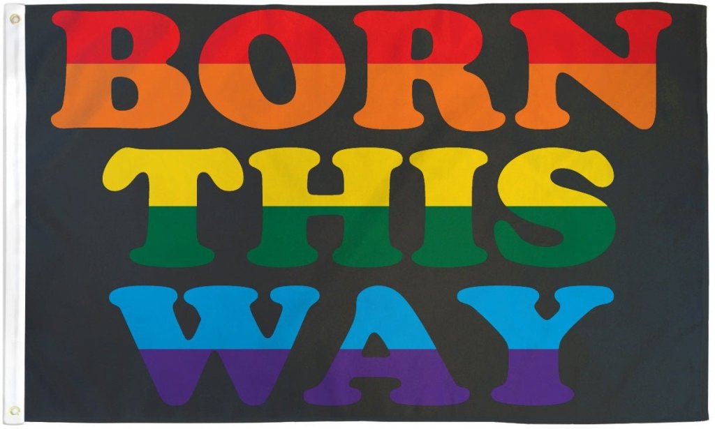 Born This Way Flag 3x5ft Poly - Flags Importer