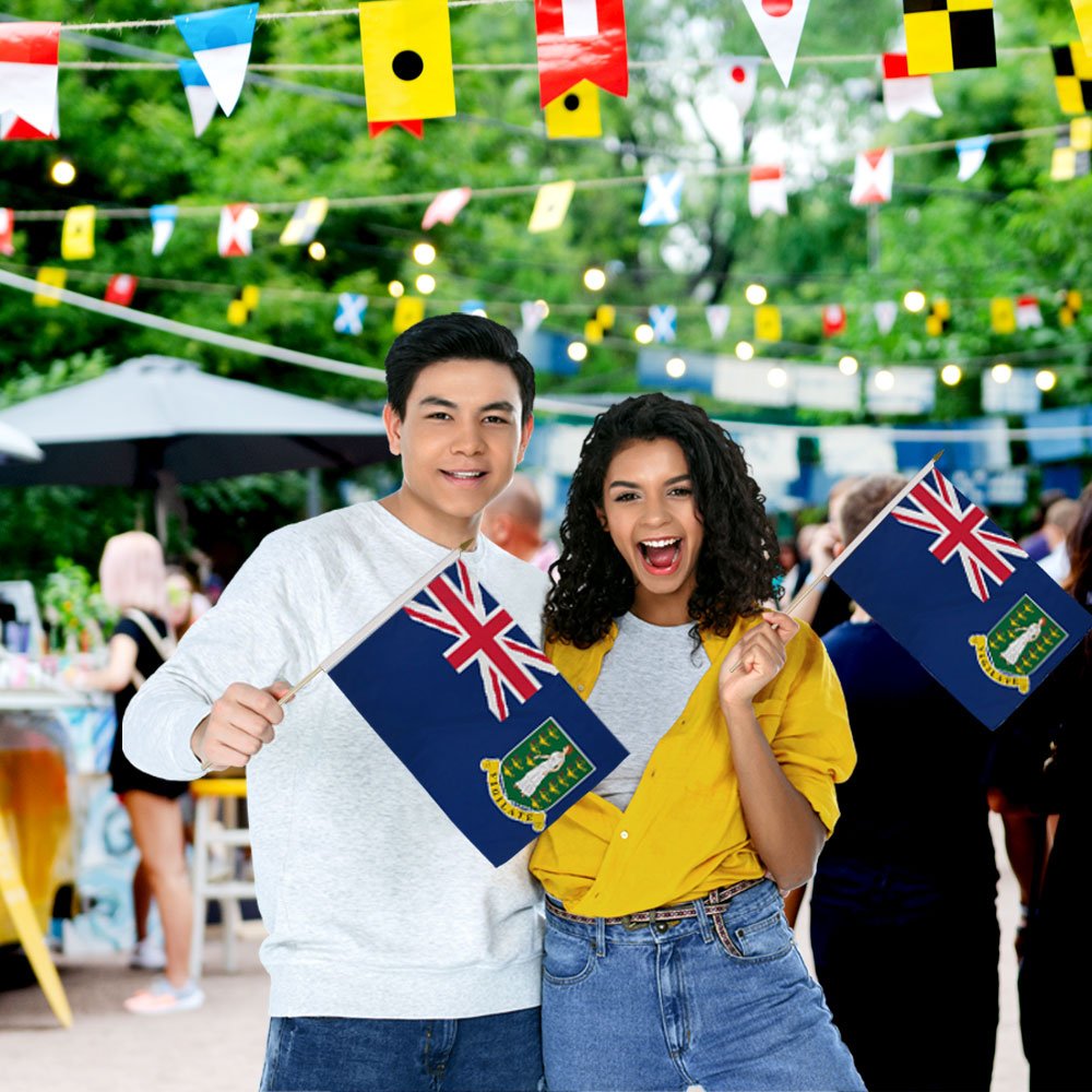 British Virgin Islands 12x18in Stick Flag - Flags Importer