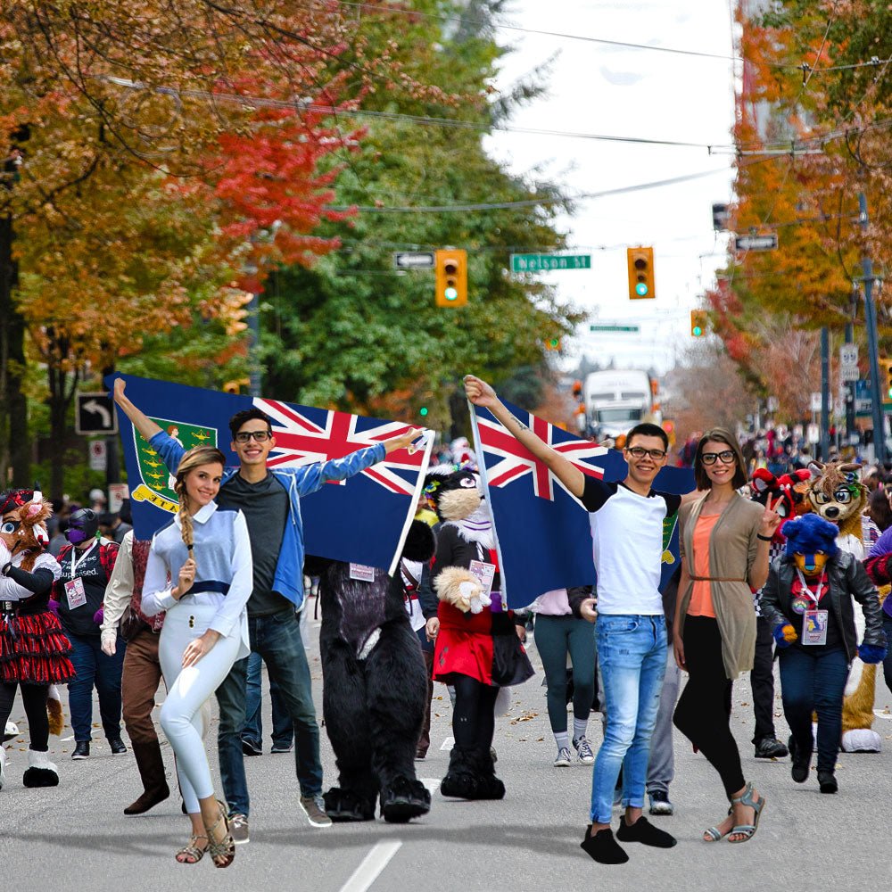 British Virgin Islands Flag 3x5ft Poly - Flags Importer