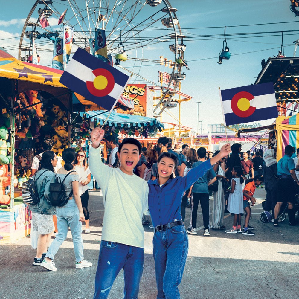 Colorado 12x18in Stick Flag - Flags Importer