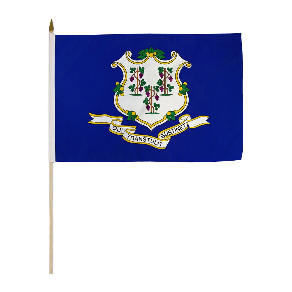 Connecticut 12x18in Stick Flag - Flags Importer