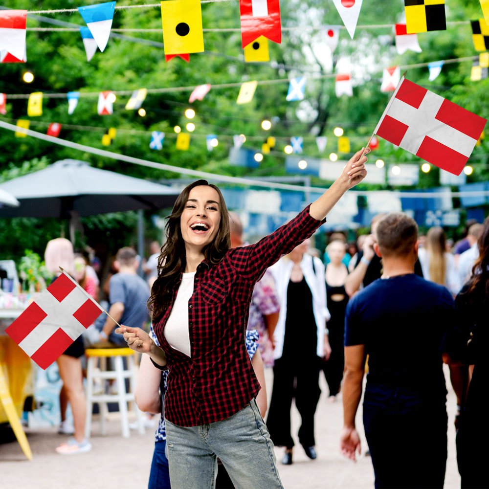 Denmark 12x18in Stick Flag - Flags Importer