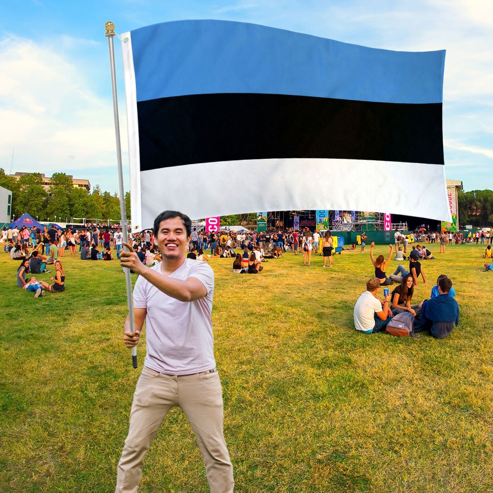 Estonia Flag 3x5ft Poly - Flags Importer
