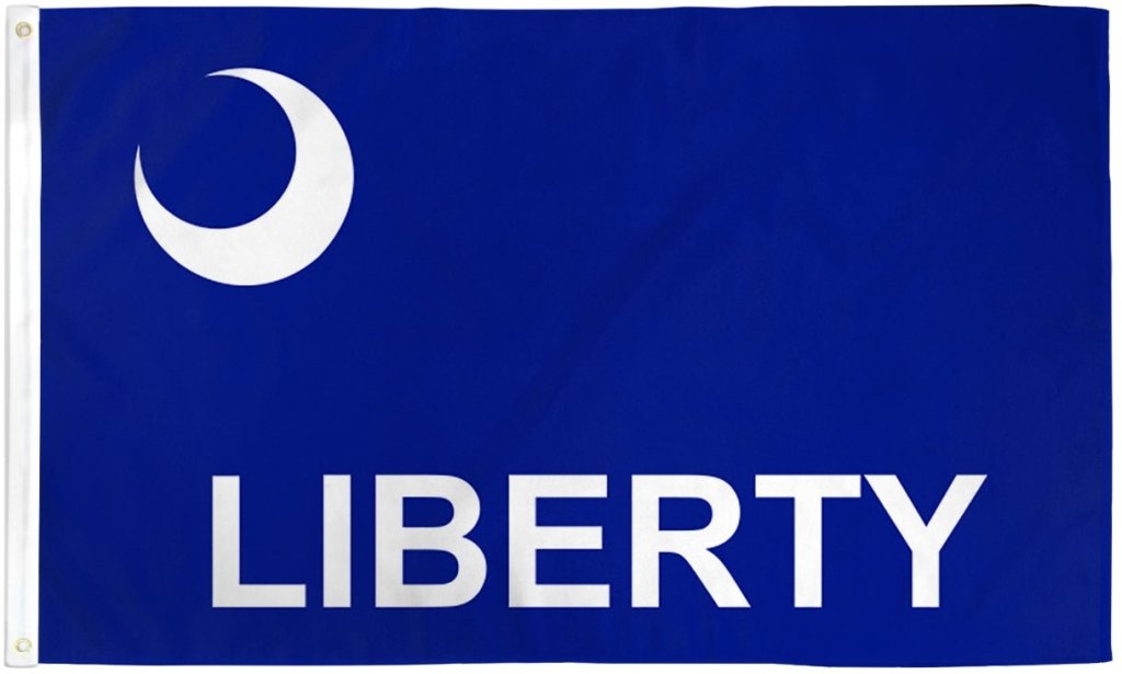 Fort Moultrie Flag 3x5ft Poly - Flags Importer
