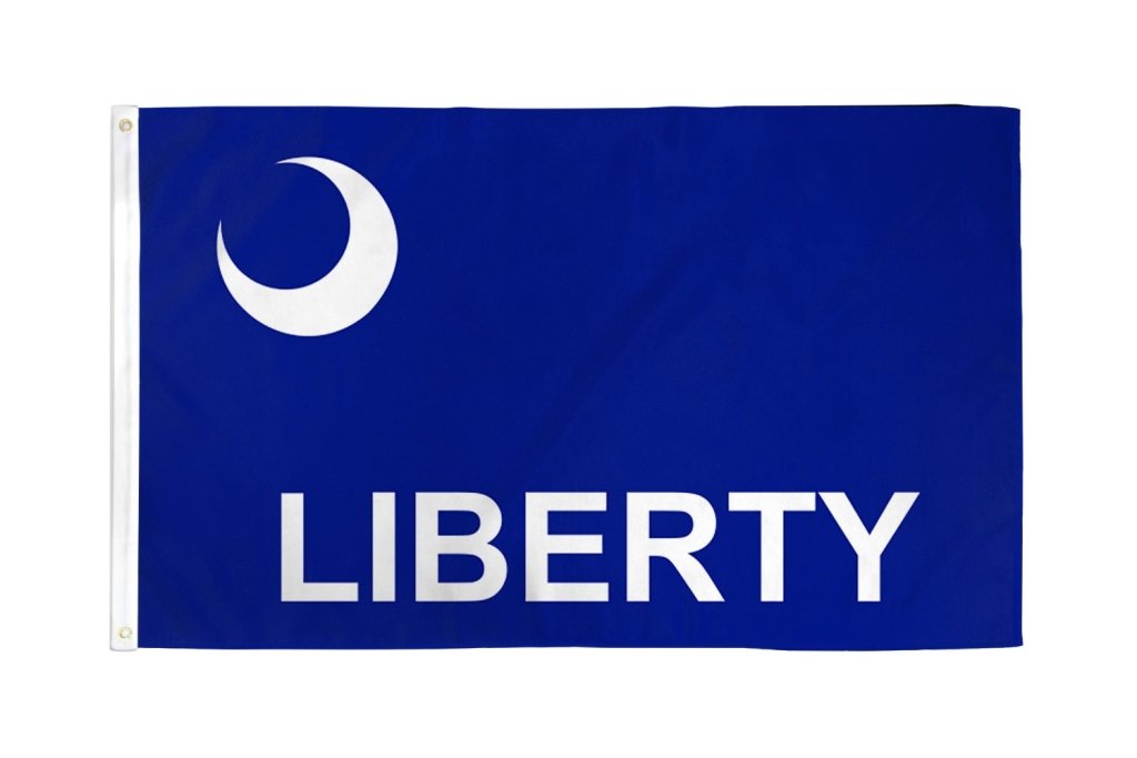 Fort Moultrie Flag 3x5ft Poly - Flags Importer