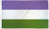 Genderqueer Flag 3x5ft Poly - Flags Importer