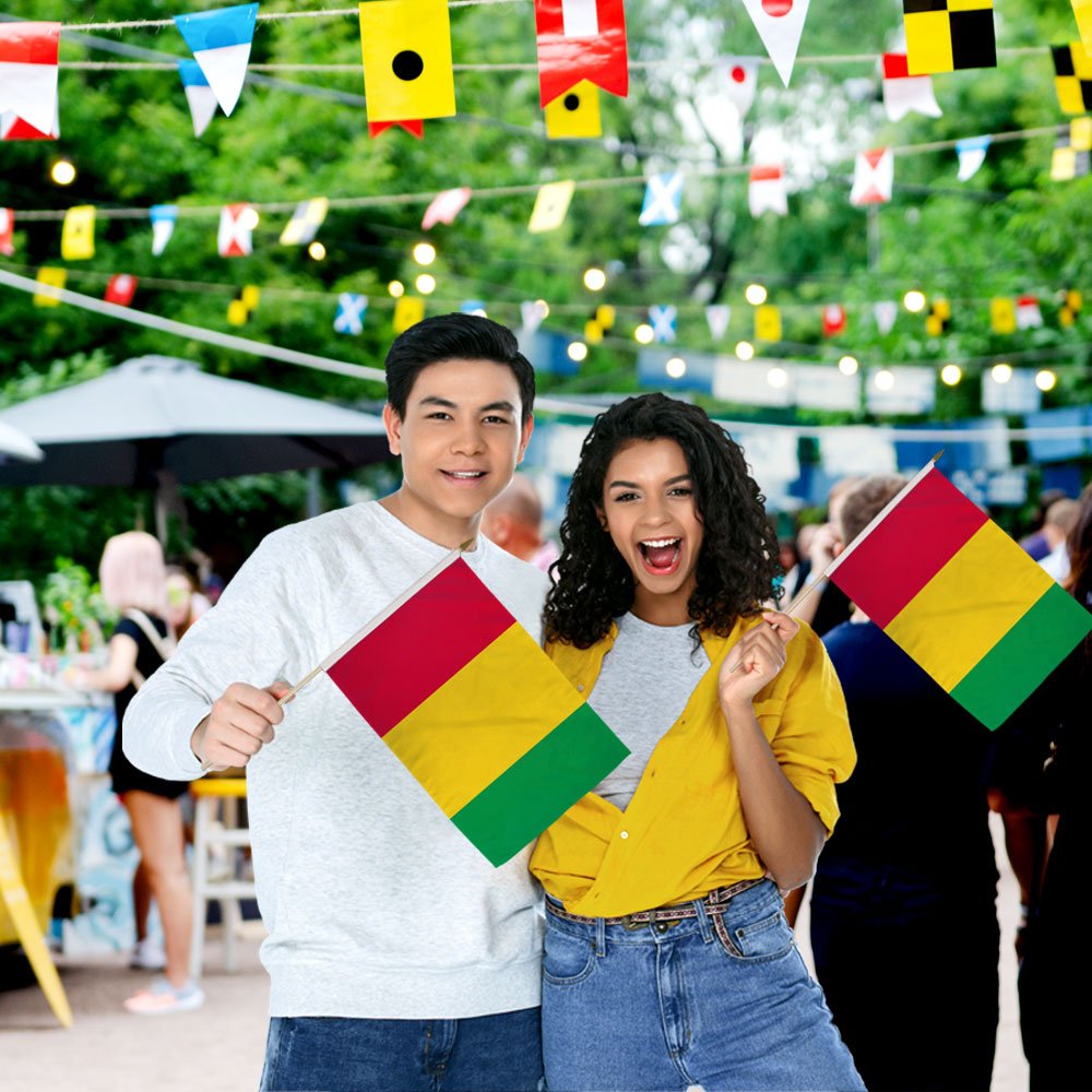 Guinea 12x18in Stick Flag - Flags Importer