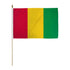 Guinea 12x18in Stick Flag - Flags Importer