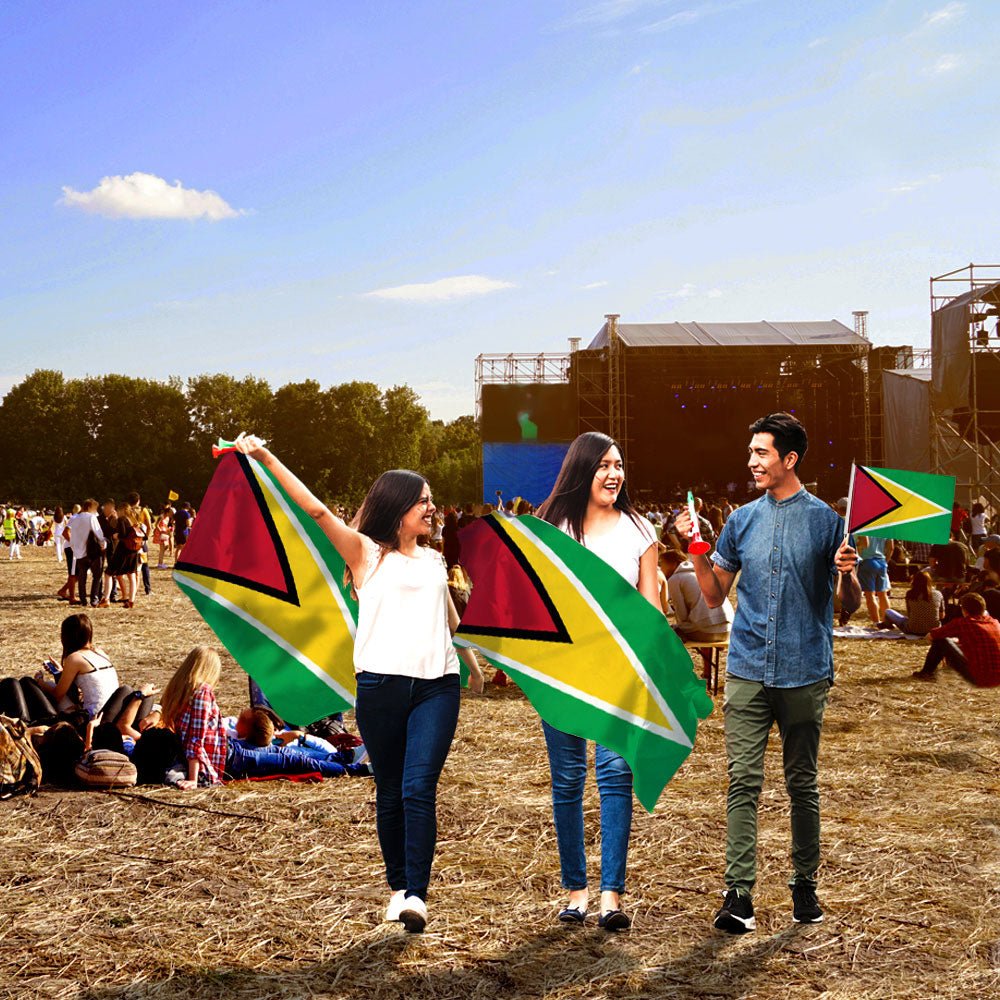 Guyana Flag 3x5ft Poly - Flags Importer