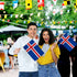 Iceland 12x18in Stick Flag - Flags Importer