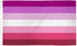 Lesbian (Plain) Flag 2x3ft Poly - Flags Importer