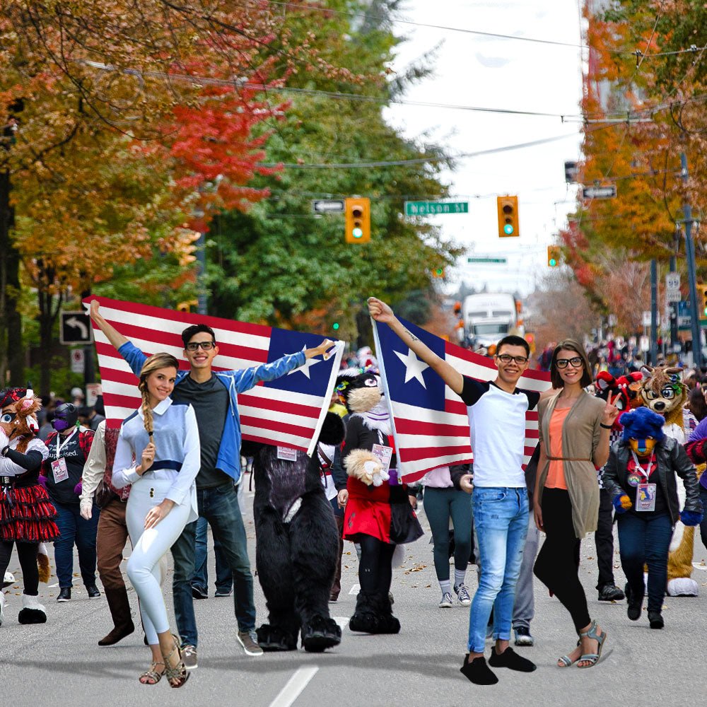 Liberia Flag 3x5ft Poly - Flags Importer