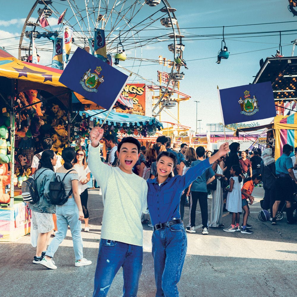 Maine 12x18in Stick Flag - Flags Importer