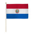 Paraguay 12x18in Stick Flag - Flags Importer