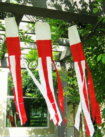 Poland Super Shiny Poly 5ft Windsock - Flags Importer