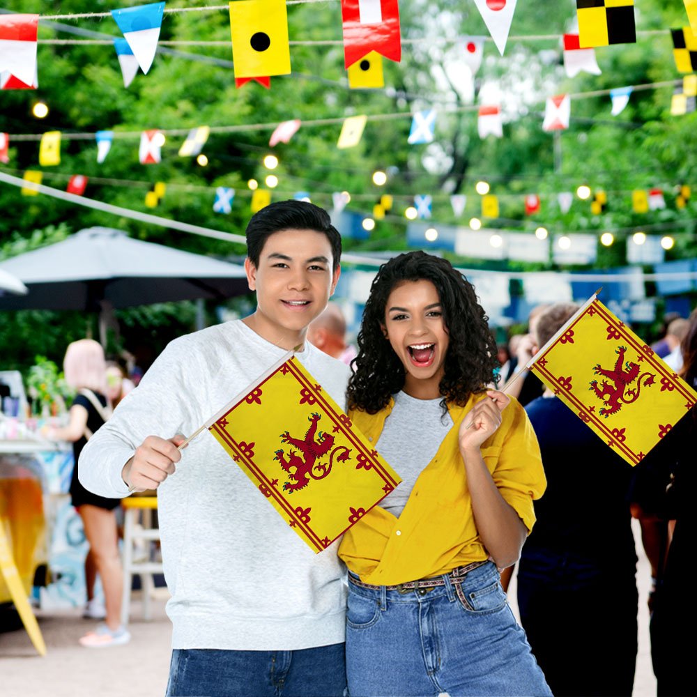 Scotland (Lion) 12x18in Stick Flag - Flags Importer