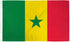 Senegal Flag 2x3ft Poly - Flags Importer