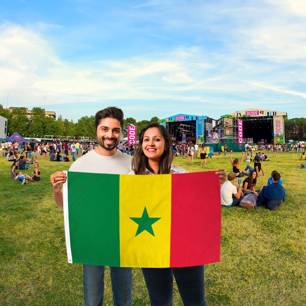 Senegal Flag 2x3ft Poly - Flags Importer