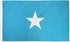 Somalia Flag 2x3ft Poly - Flags Importer