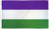 Suffragette Flag 3x5ft Poly - Flags Importer
