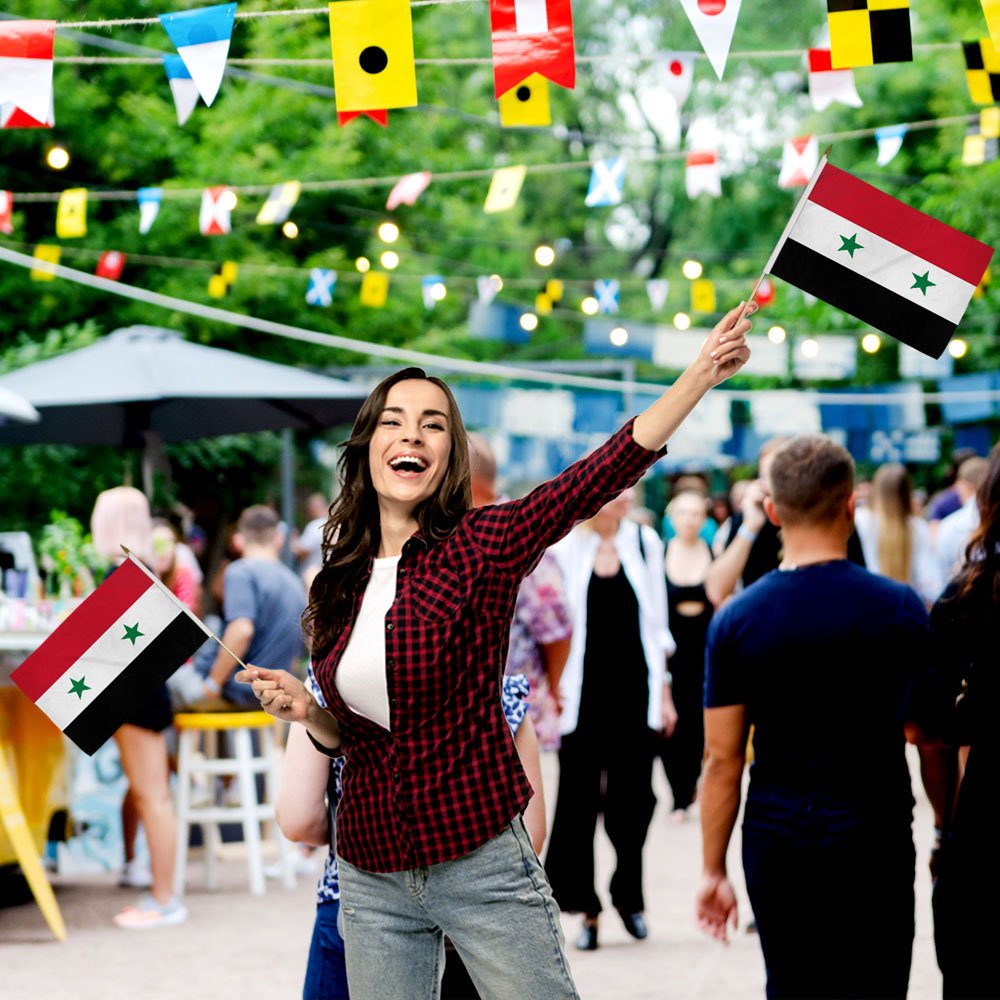 Syria 12x18in Stick Flag - Flags Importer