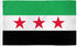 Syrian (Republic) Flag 2x3ft Poly - Flags Importer